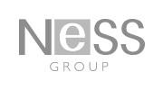 Ness Group